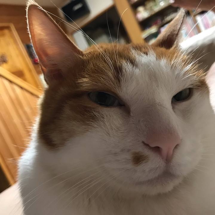 9db933ac 0e88 4d07 8dae 10dd5dfaca47 1561031411607