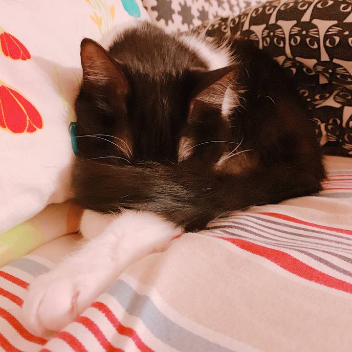 9db93887 4113 4125 bb91 5a34e16d845a 1551279886521