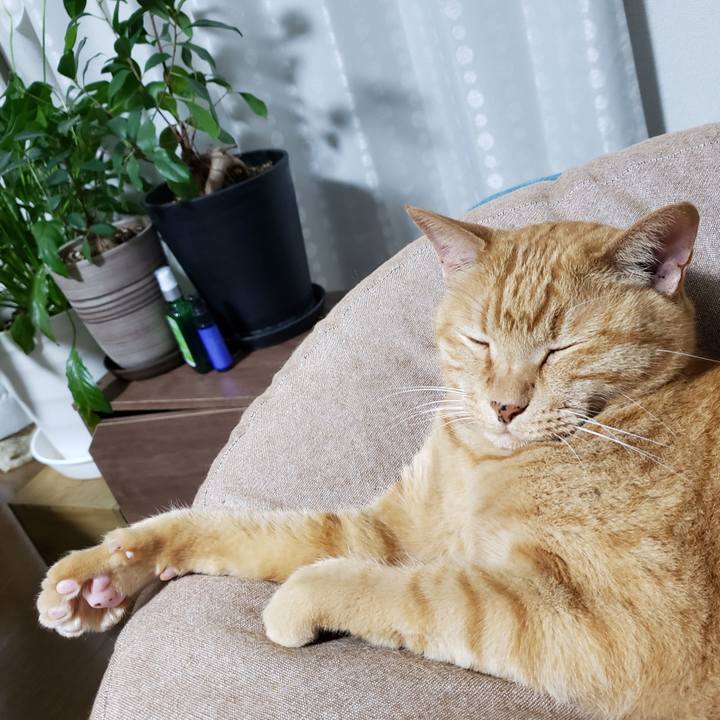 9db94d06 bb77 4a25 97b5 a43919303627 1717488141500