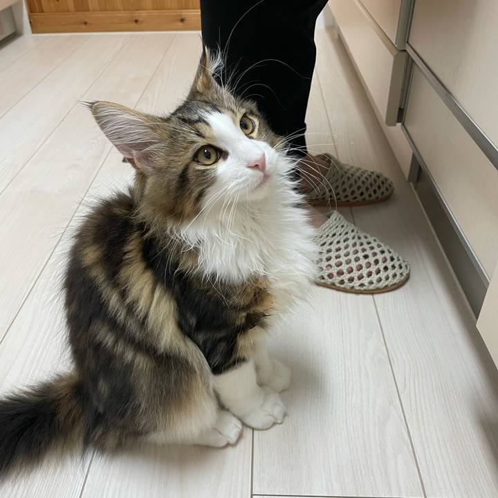 9db99589 86dd 4fcd 9a87 07c8b53bf485 1635194040191