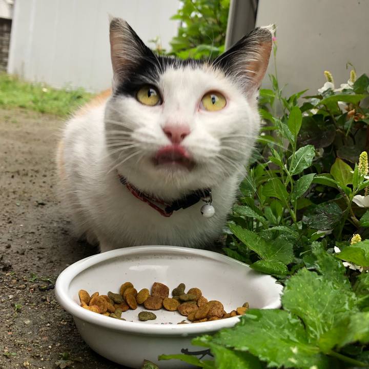 9db99623 1669 4111 aba6 e53b90857c43 1622724258412