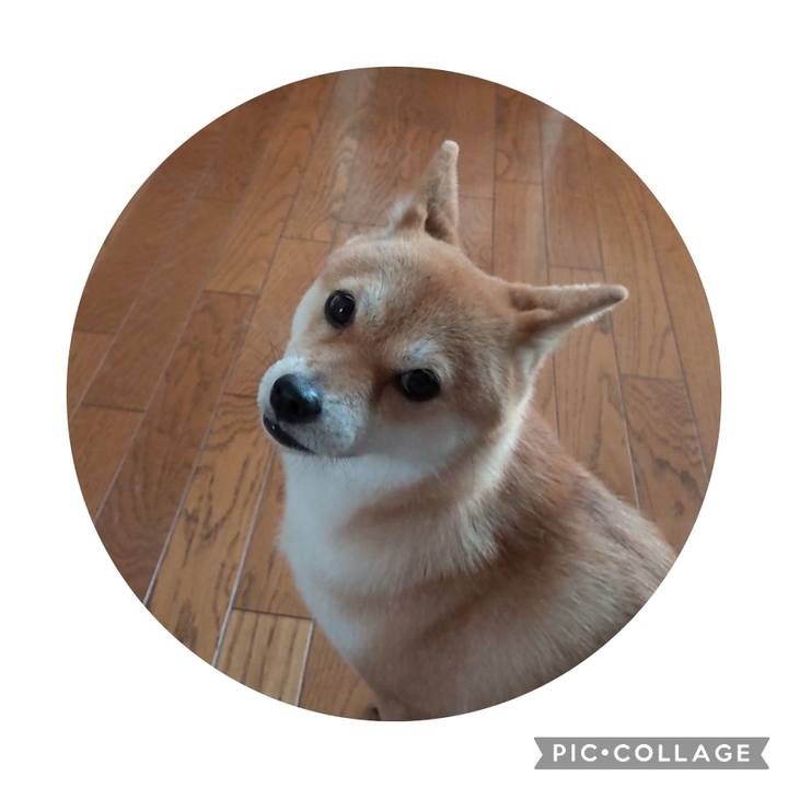 9db9aba9 a034 4c0e bef2 8671d938d994 1693095428612