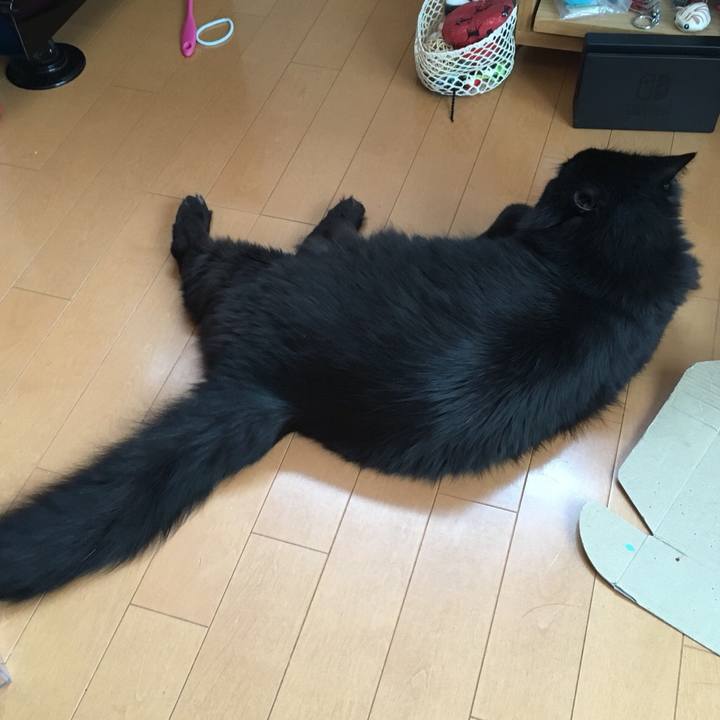 9db9b846 8211 41ab 9b03 2d8668e1ca05 1558095024961