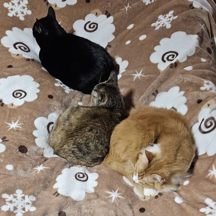 9db9c048 30e7 40ac b8cf 6b4d2b4504b6 1768452047676