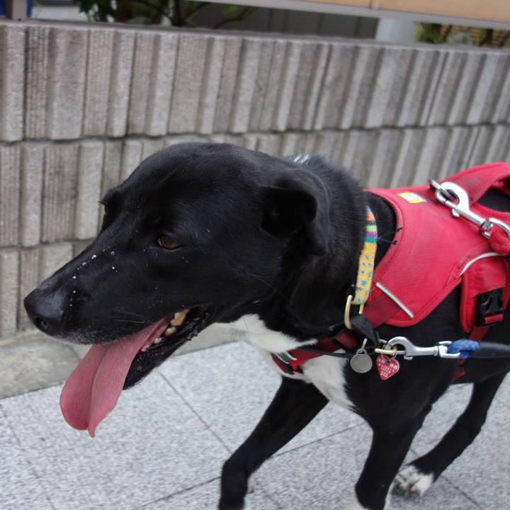 9db9c9f9 daa5 41ca 8f13 89c71526f9b8 1592734298751