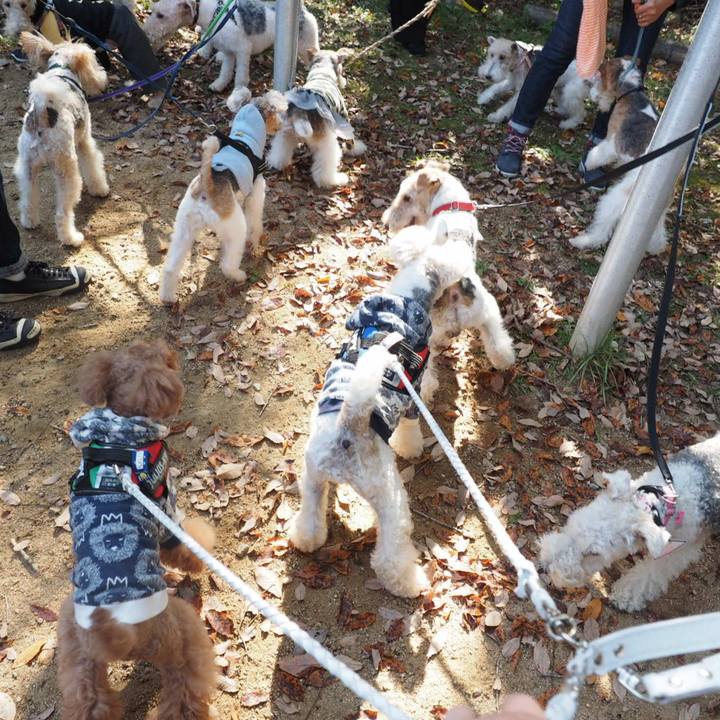 9db9d3a9 5524 4657 a5e0 4d7f192b25fa 1541917383590