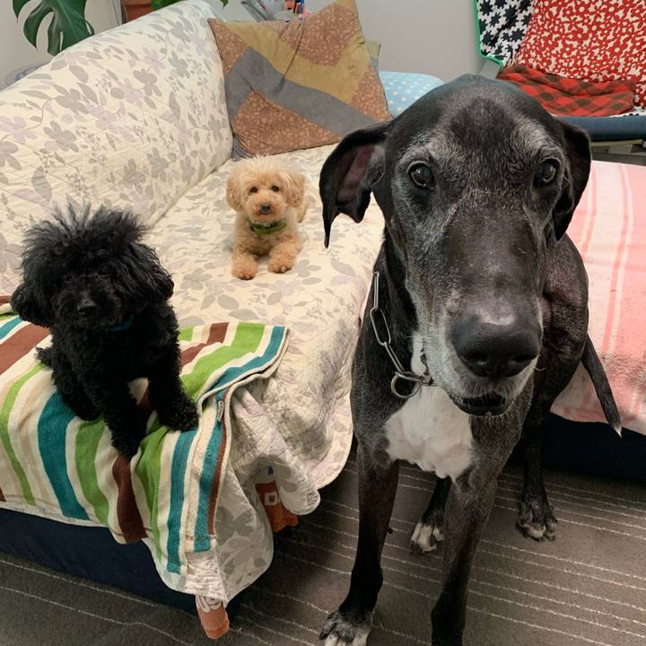 9dba09d7 135f 4eff 8160 3ba2a226f733 1596753316539