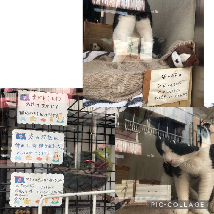 9dba14c5 f147 4730 8e23 8f9f0f8f151d 1652696282883