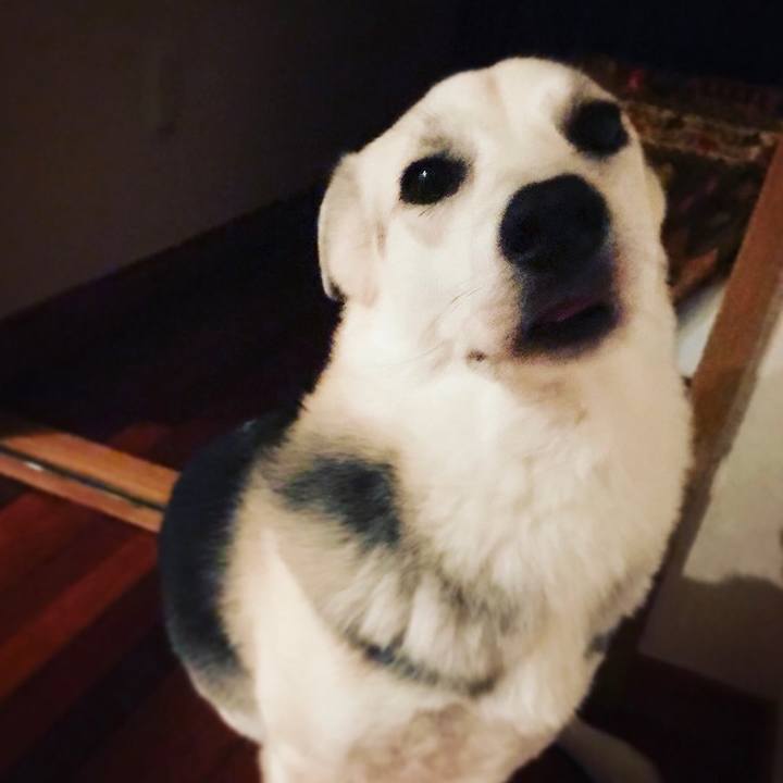 9dba1705 c5fa 42d6 8e55 966b23032ebe 1557211112744