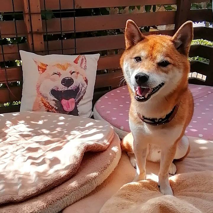 9dba2ae3 98e9 4059 9645 432af474acd2 1633481553499