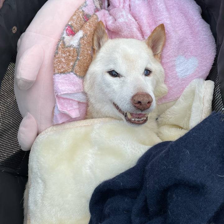 9dba6453 39f7 4ab3 a195 46ce37e92cec 1678967836970