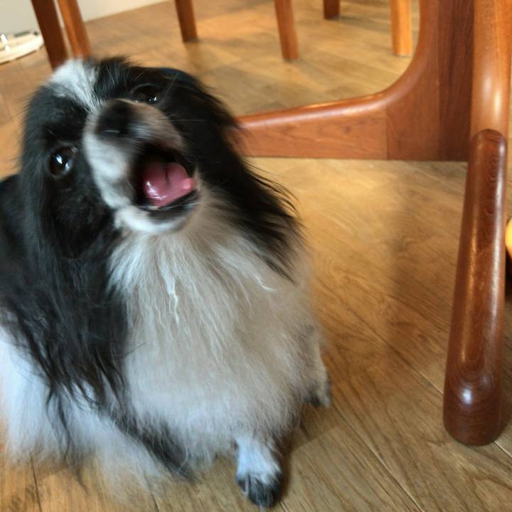 9dba65b6 6346 4e95 ac08 042910d2ee94 1535582198172