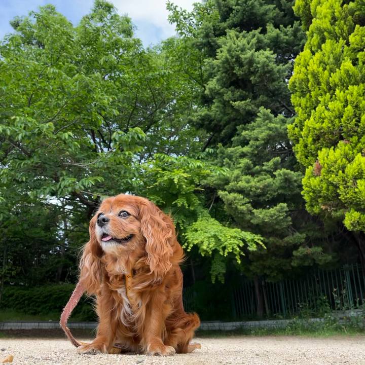 9dbaa085 5e84 4348 856d 7873a03db2a8 1714951795960