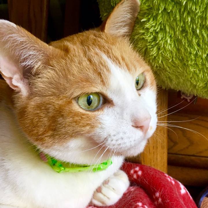 9dbacb3c f796 4b06 ab00 d096eaa0a67c 1559271613702