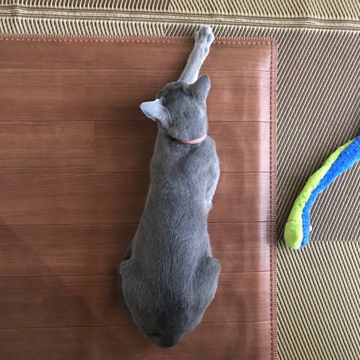 9dbae42a 863d 4cd8 b833 0b1f3319f6a3 1518700275377