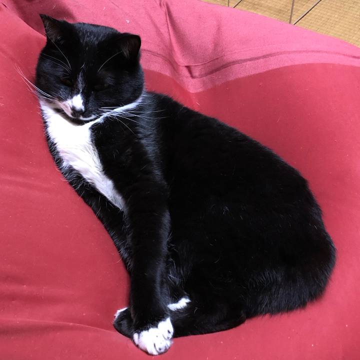 9dbafa4a 12c8 4a61 afc3 03bdf8742b39 1582513913435