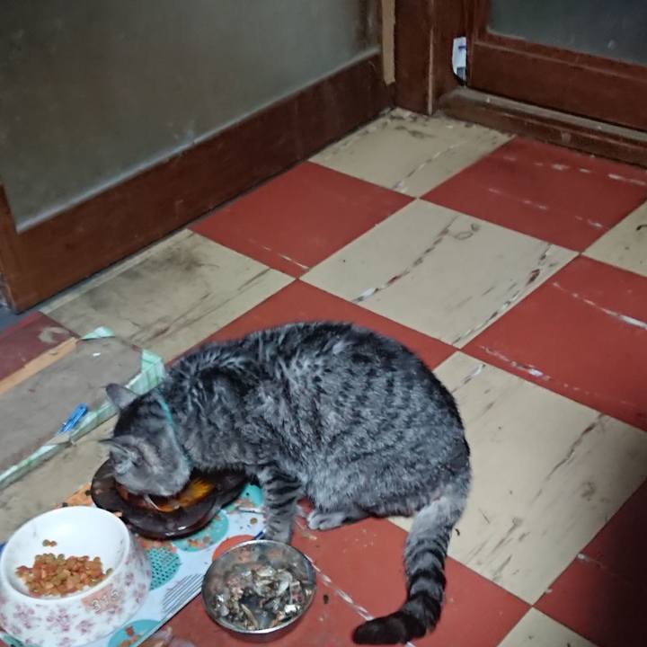 9dbb0208 a3e8 434d bb5f 4415c1275553 1577305198984