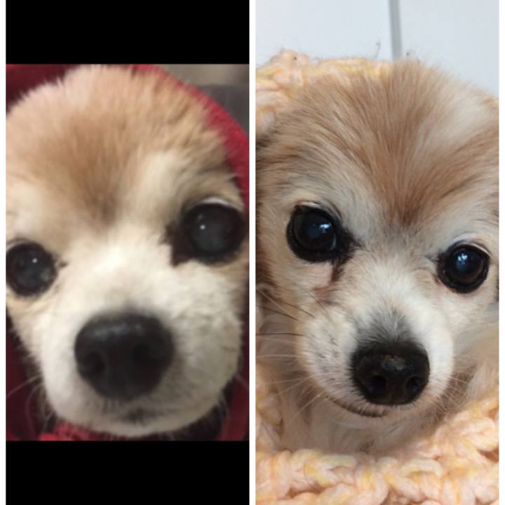 9dbb15f9 7170 47fa 9c57 ff95a72b3b3e 1556442094426