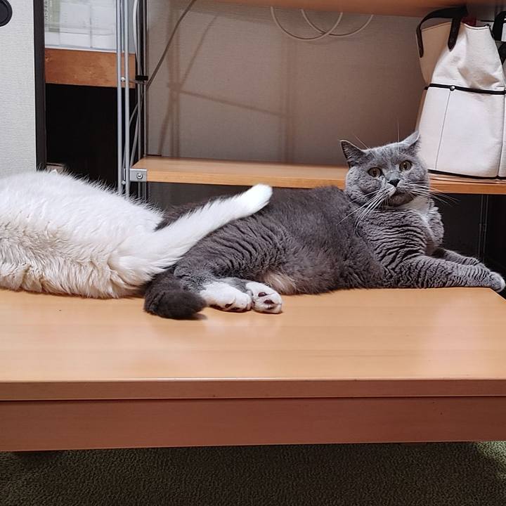 9dbb38dd 61c2 4a51 97aa a2b70e3e6e1d 1663193459301