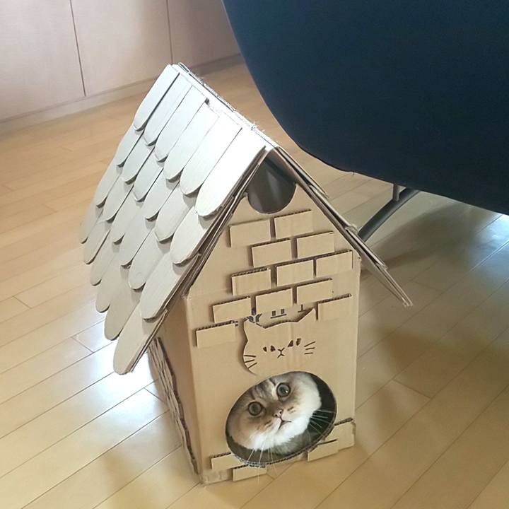 9dbb76f8 44cb 42a6 a62b 5b86ad1490c4 1597960860168