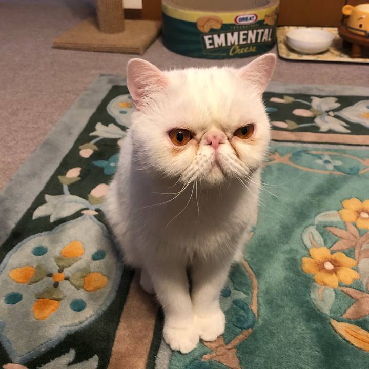 9dbbaaf5 7dd3 42b0 a4df 53686f38822e 1623581231313