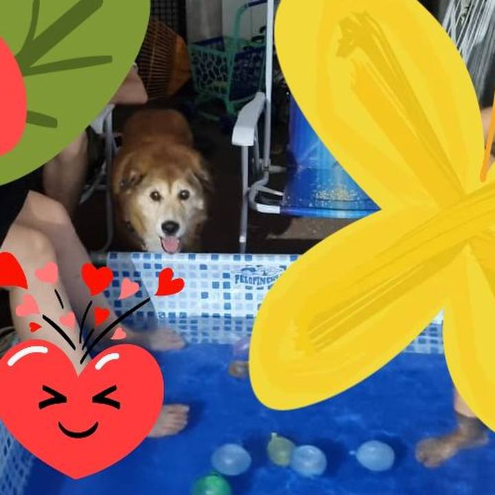 9dbbb5e5 c710 43b8 ace2 dd4d2183ab56 1767232141425