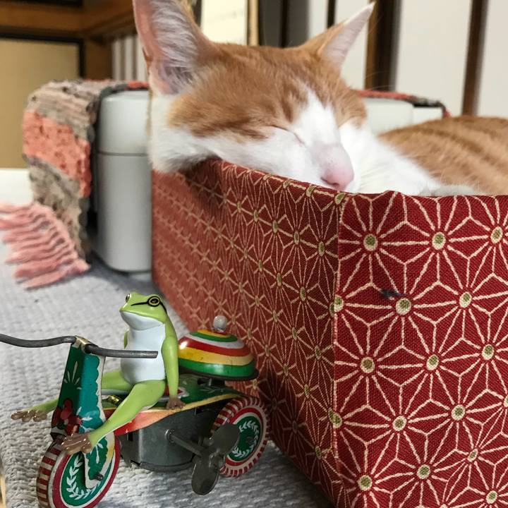 9dbc1021 264b 4430 9ed3 dc8dd0fc95f3 1511939618106