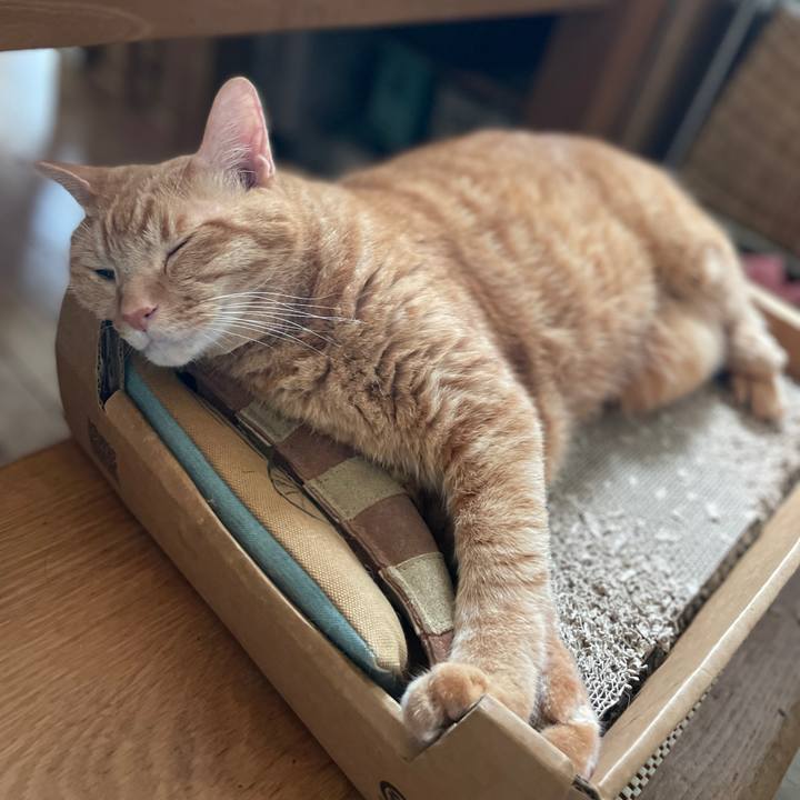 9dbc281c 2060 4106 b5eb bf7a45da8ff0 1755863250047