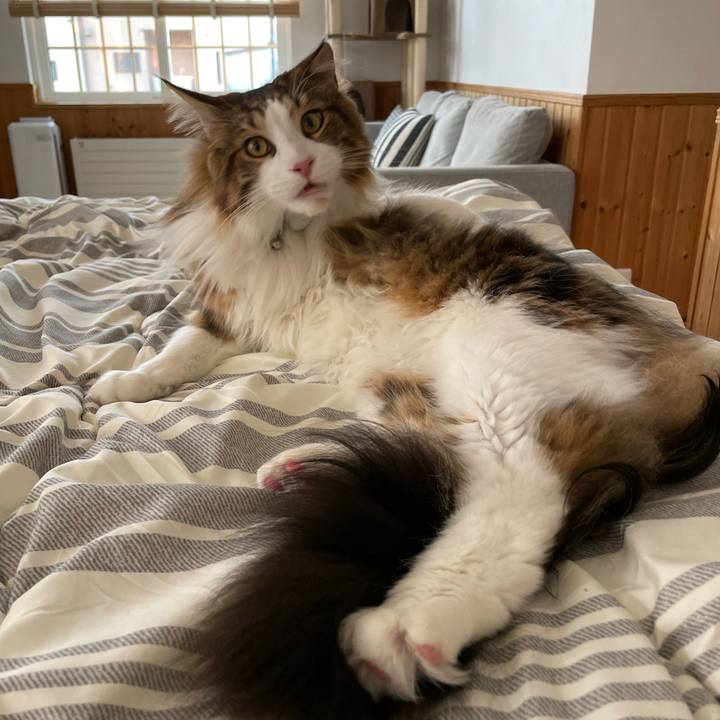 9dbc2df4 2067 49fb ad14 2bfdd87ac704 1651536091294