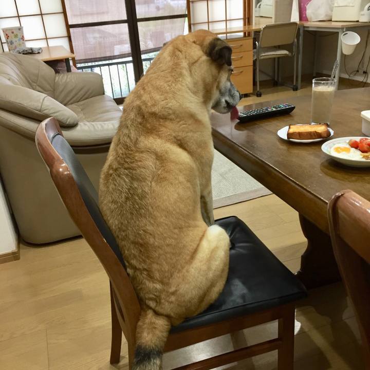 9dbc812e 82ff 486b 8b95 5c0e0b75faa8 1533855992046