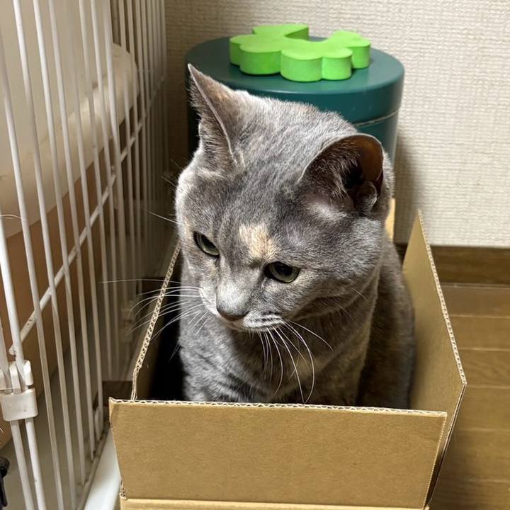 9dbc8938 fa2b 471a bdc9 7f962eed0da5 1773472671775