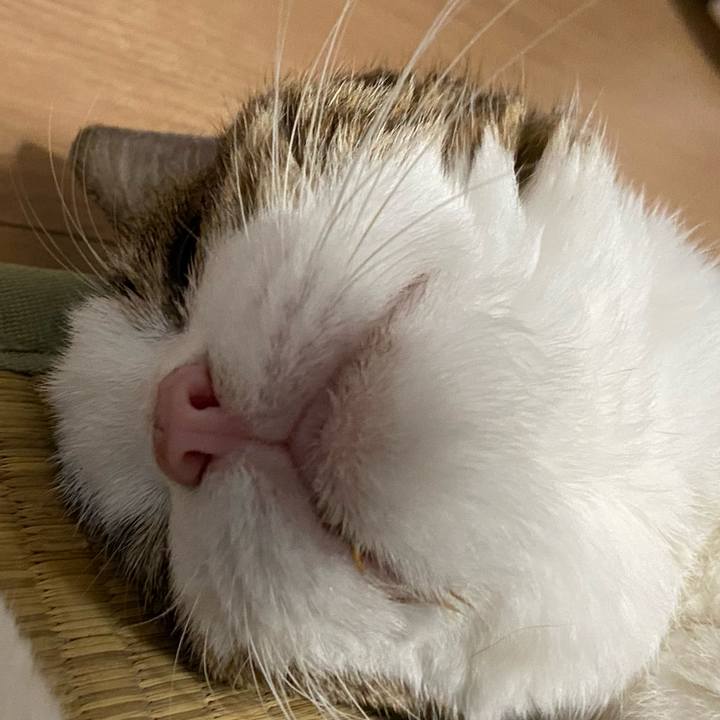 9dbca235 7610 4d91 91e7 1f0705af2b44 1597491547431