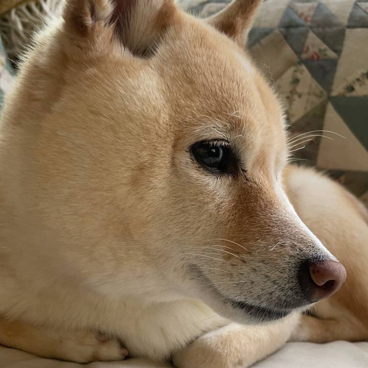 9dbcd860 0132 4876 8986 6ac159c65a8d 1746335313388