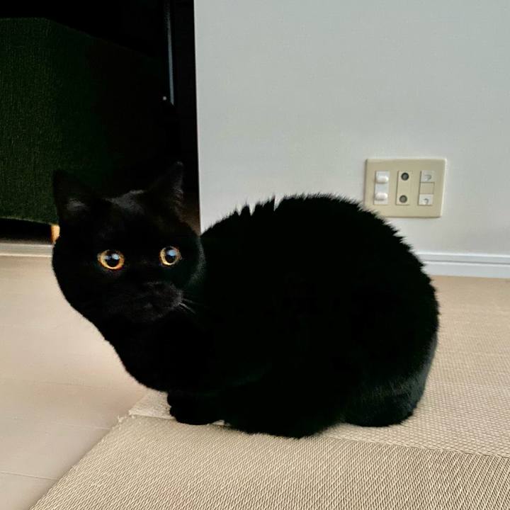 9dbcef89 f5c5 46a0 8031 f34f2bc804fc 1637480546172