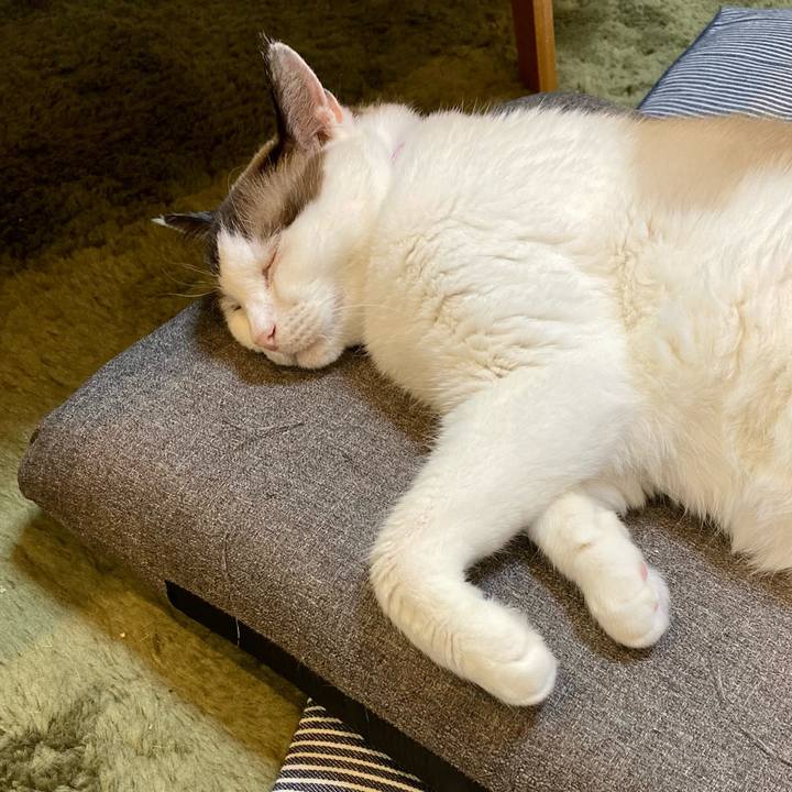 9dbd0117 9dcf 4c43 bac3 6075f800a996 1661346368197