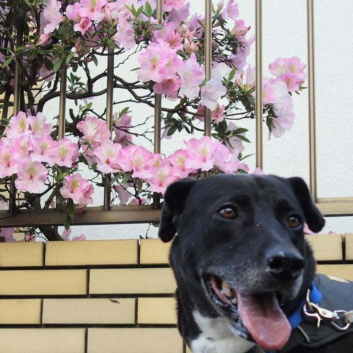 9dbd583c 95df 447b ae60 938c16aeb3e8 1650848539310