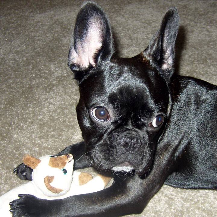 9dbd8b8c 14e0 45cf 8841 26a05702079f 1672987923722