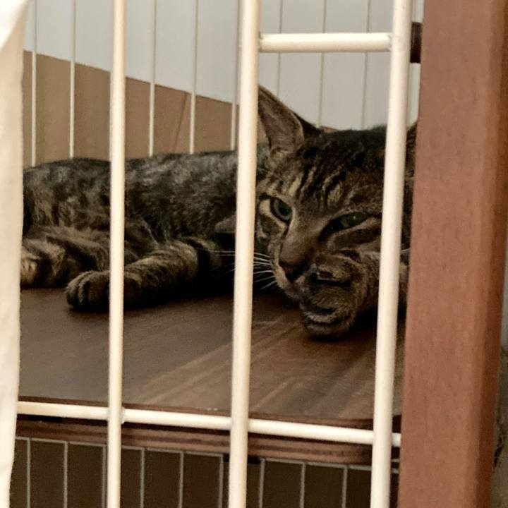 9dbda4eb fe2b 468d b367 5063f492a58d 1659846745716