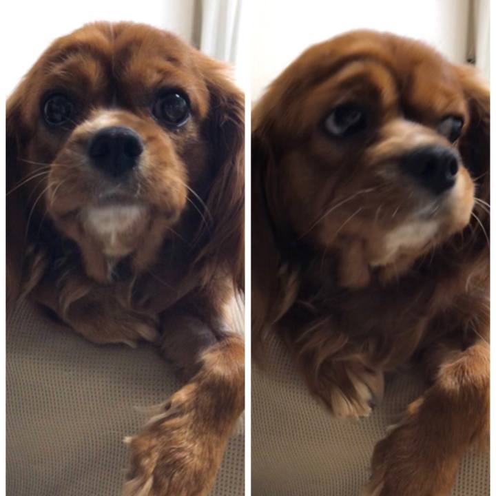 9dbde56e 319b 4d29 9571 8476be505853 1559081315210