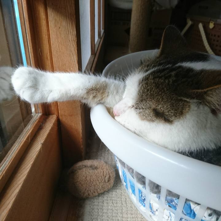 9dbe25a4 cd1e 42c2 a661 6a655adb9796 1529108981383