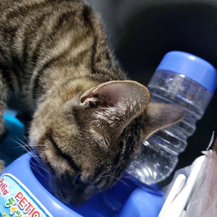 9dbe4598 0d55 4fa3 8aec b4a79961d5e5 1543740465541