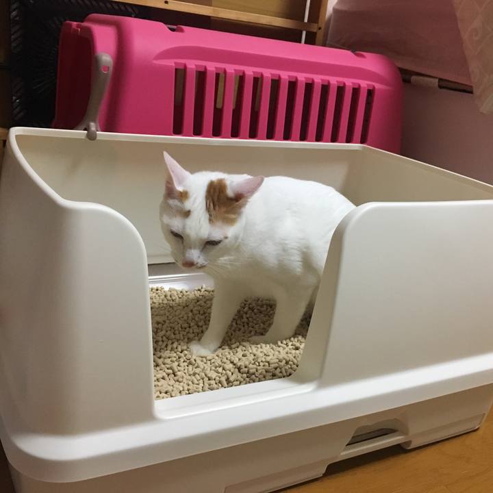 9dbea00b e407 40b5 936b 4b38a4445335 1534420587359