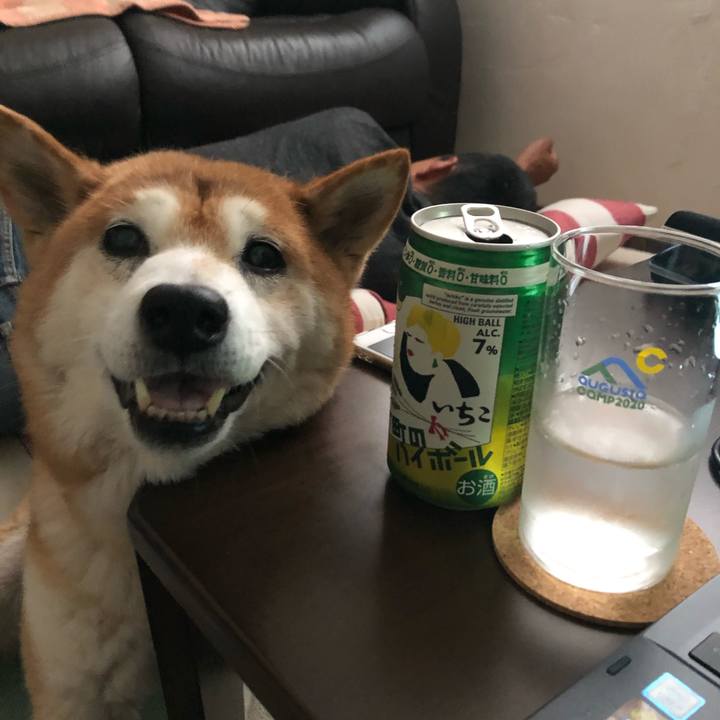 9dbebc37 0ba6 4074 9c8e 4037acbb00db 1601101523780