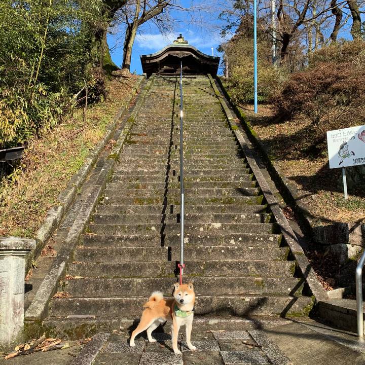 9dbf22f8 d751 4de6 90a8 08de641c043b 1613739208758