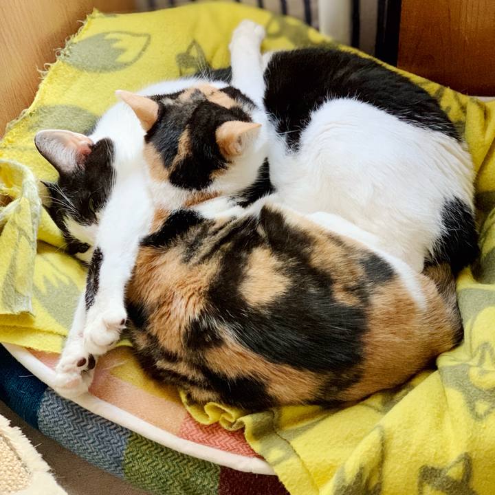 9dbf46ed cfa2 47f3 8940 21e645c38def 1541299501522