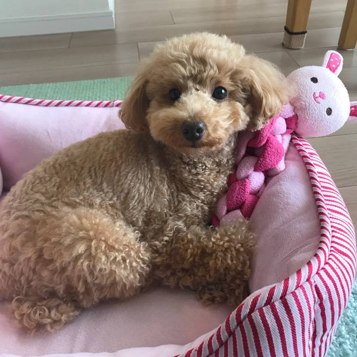 9dbf529f 7370 4c44 ba5f 721fc318798a 1520744341908