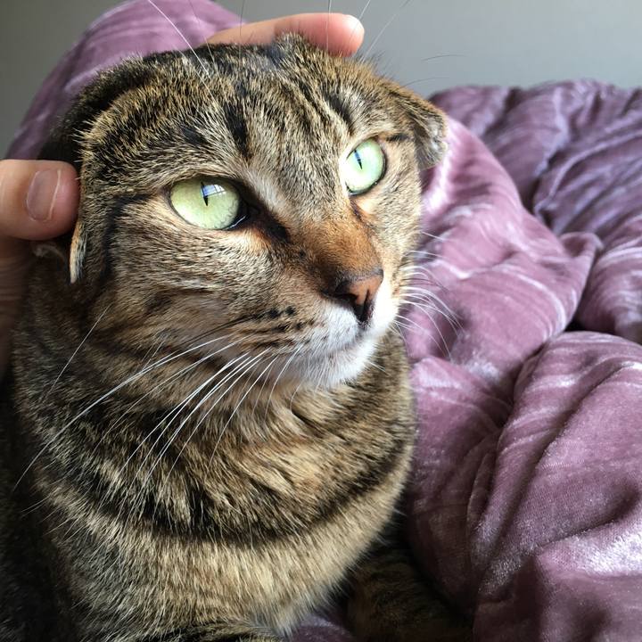 9dbf75d2 5d6f 47df b577 a3007c774e3b 1572476958568