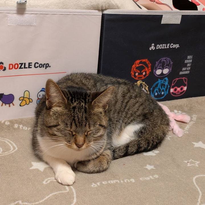 9dbfb549 e8c6 4d6d 9734 be771fb521a6 1740302470419