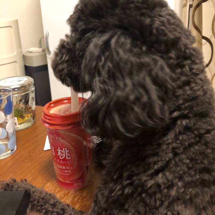 9dbfb6c3 ab8a 4769 ade0 01727fc102a7 1585573916241