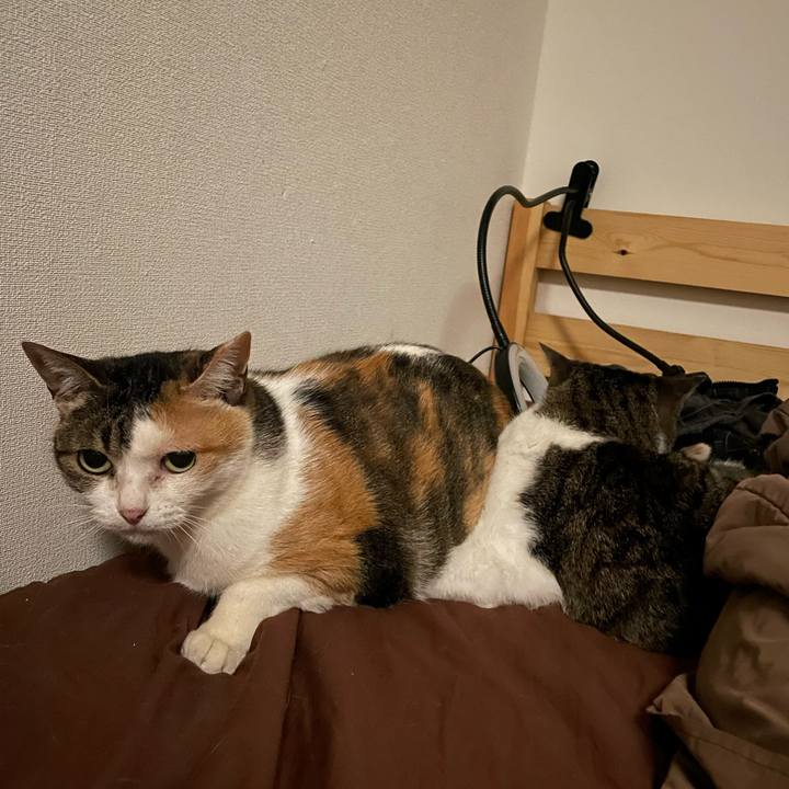 9dbfe25c 2944 4c21 bbce f33999bd4a0b 1740493277744